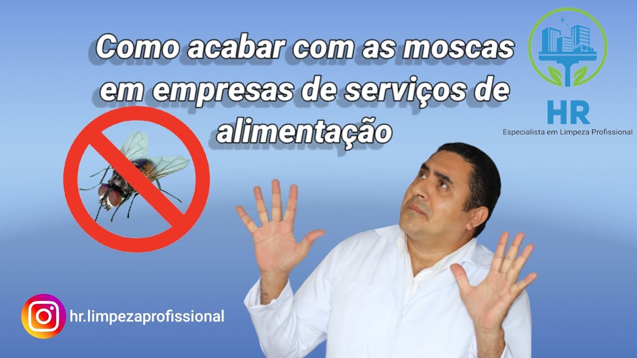 Como acabar com as moscas em empresas de serviços de Alimentação.