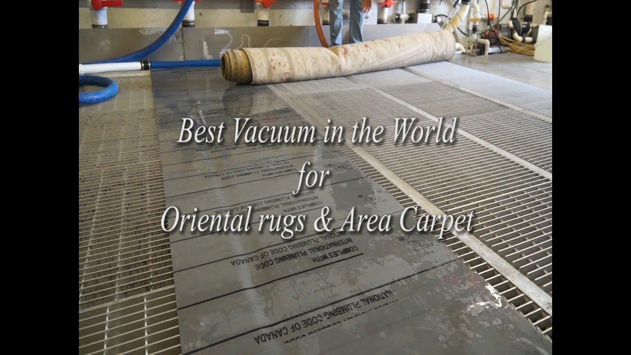 The Best Vacuum for Oriental rug & Area Carpet-#PetPeePee