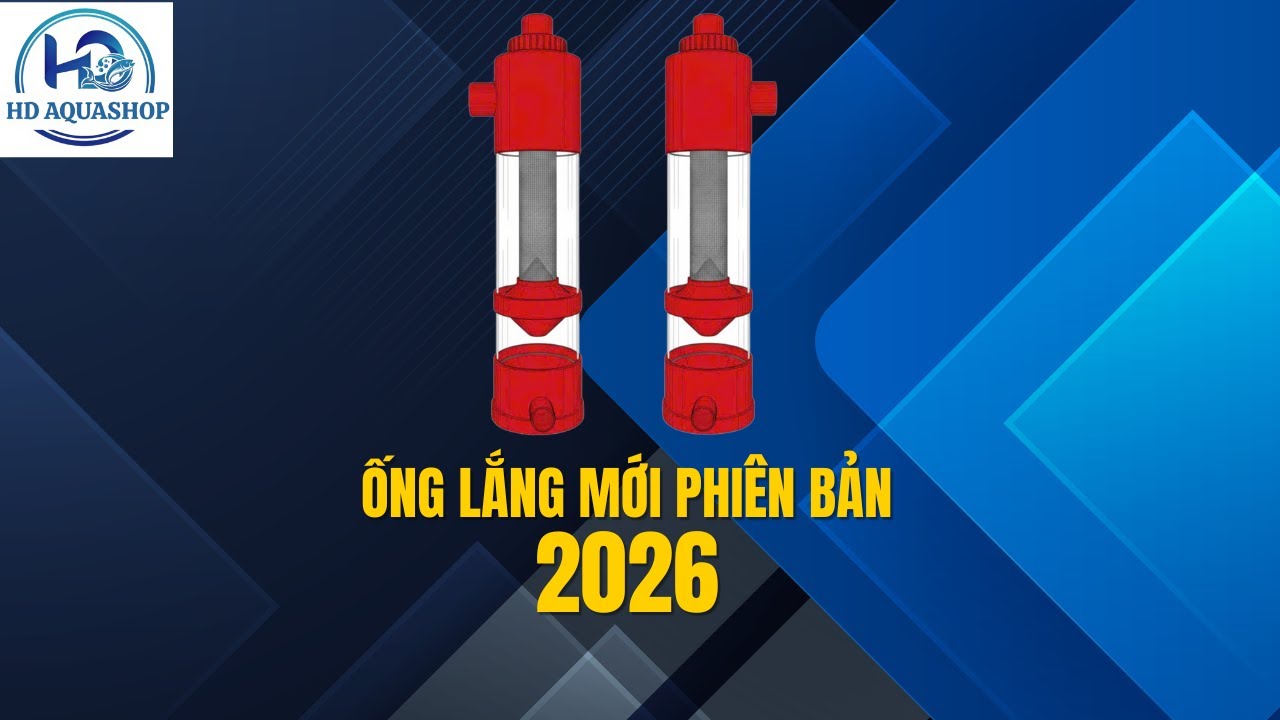 Ống lắng 2026, giới thiệu ống lắng nhỏ phiên bản mới nhất hiện nay #hdaqua #onglang #tachphan