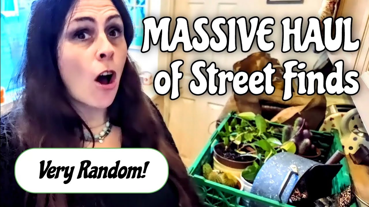 Massive Street Finds Haul | Thrifting | Street Finds | Frugal Living Vlog