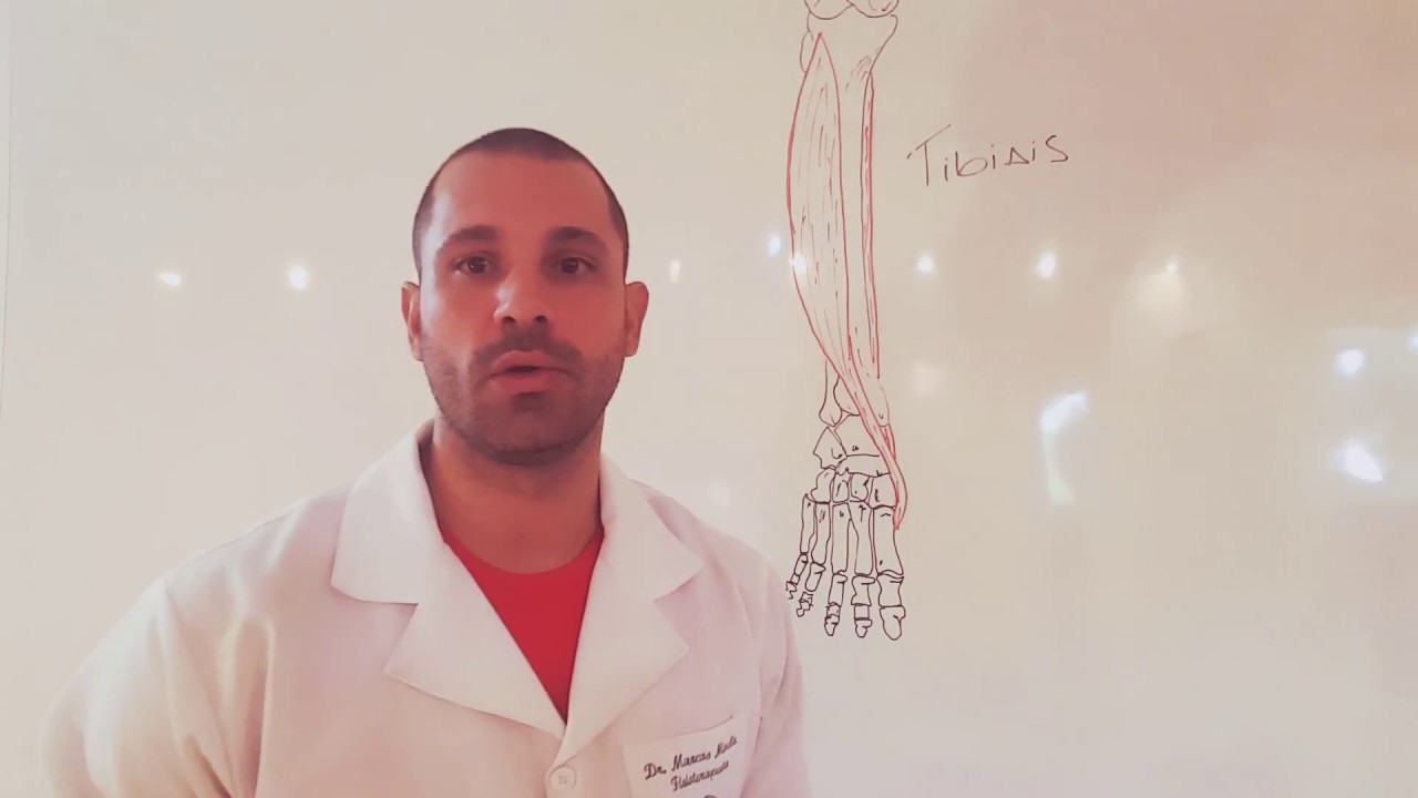 Tibiais e o arco longitudinal do p&eacute;