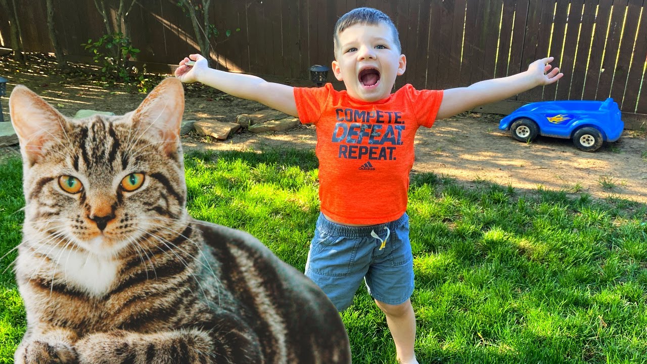 Caleb Backyard Adventure Story with Kitty Cat Pet!