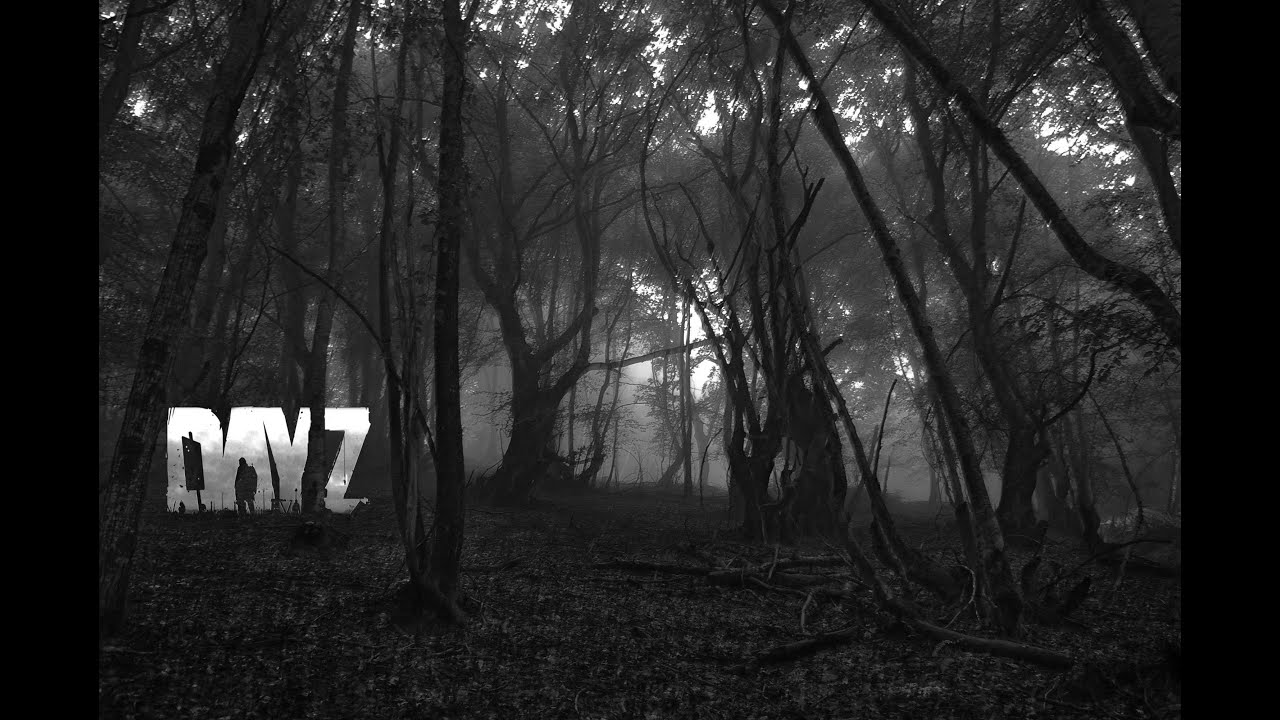 DayZ Frostline Live sat2