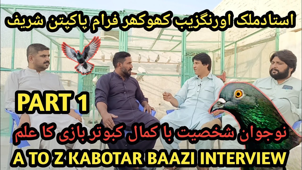 INTERVIEW USTAD MALIK AURANGZAIB KHOKHAR|| PART 1|| #pigeon #kabootar #kabutar #aliimranpigeonsvlog