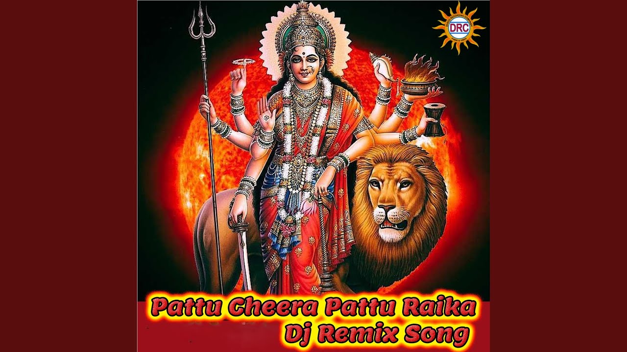 Pattu Cheera Pattu Raika (DJ Remix Song)