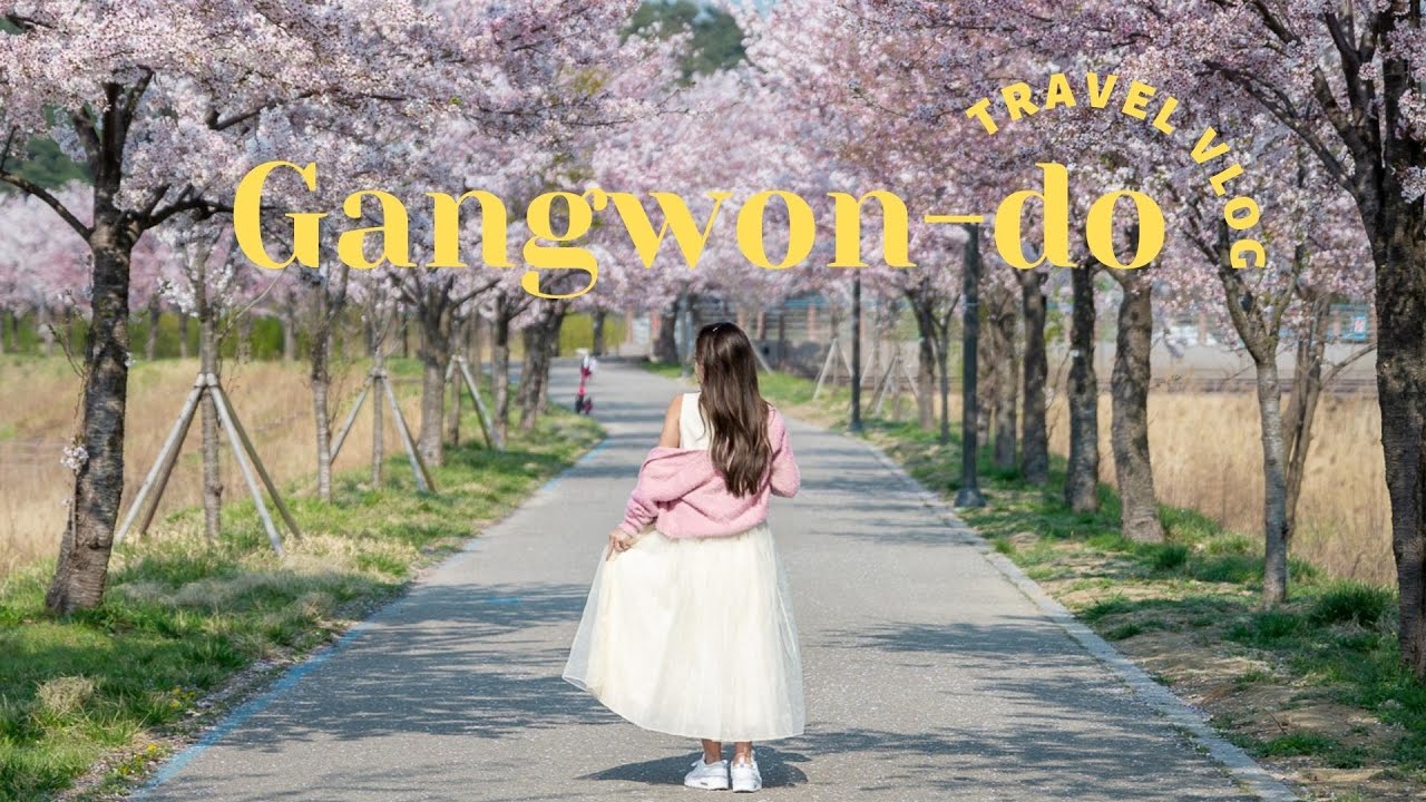 韓国Vlog | ソウルから2時間の海や自然に癒される旅 | 江原道3泊4日