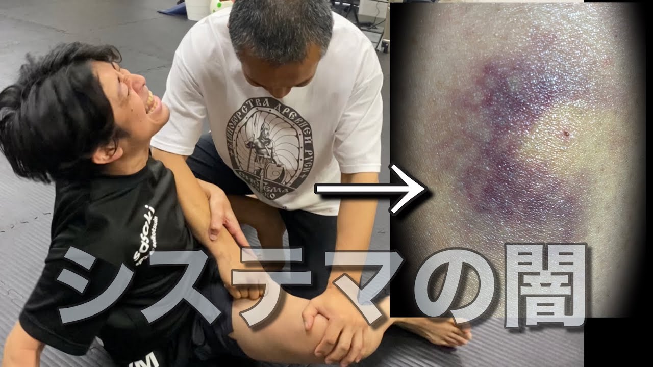 【激痛】システマを達人から習ったら闇しか感じなかった…