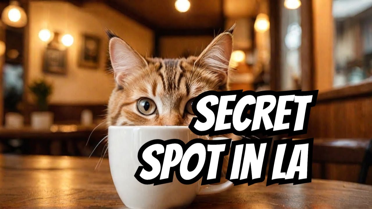 Secret hidden cat Caf&eacute; in Los Angeles, California