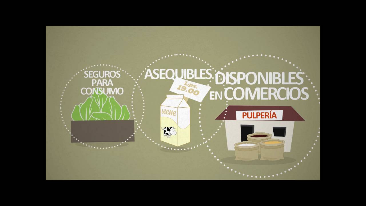 Derecho a la Alimentación