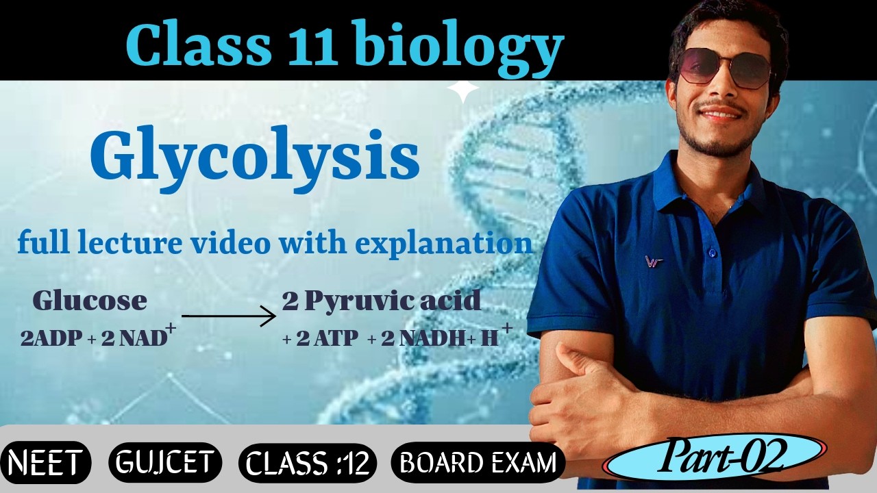 Glycolysis