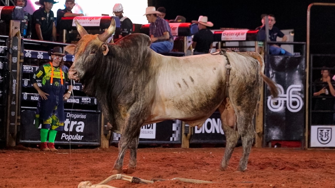 SEMI FINAL em TOUROS | RODEIO de UMUARAMA-PR 2026