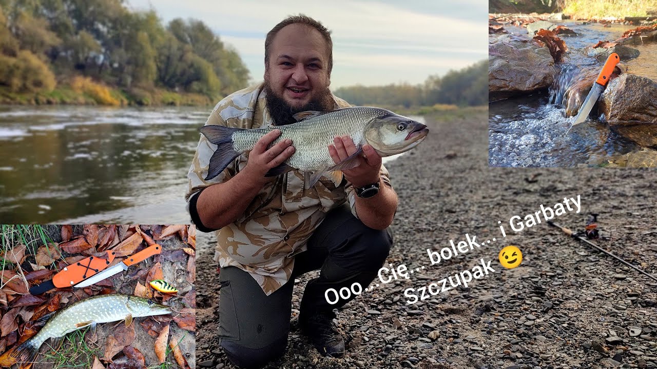 Boleń z Wisły Kraków i nóż wędkarski Szczupak od Garbaty Knives