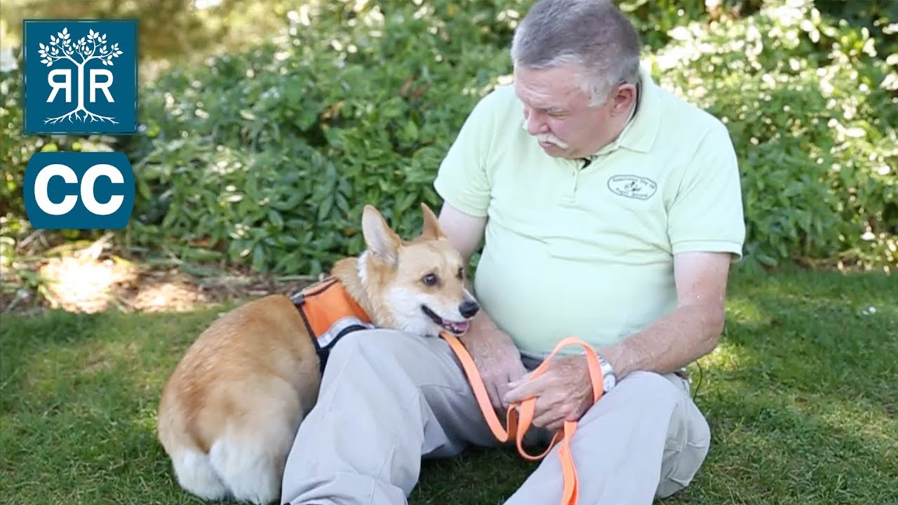 Service & Companion Animal Owners - Know Your Rights!