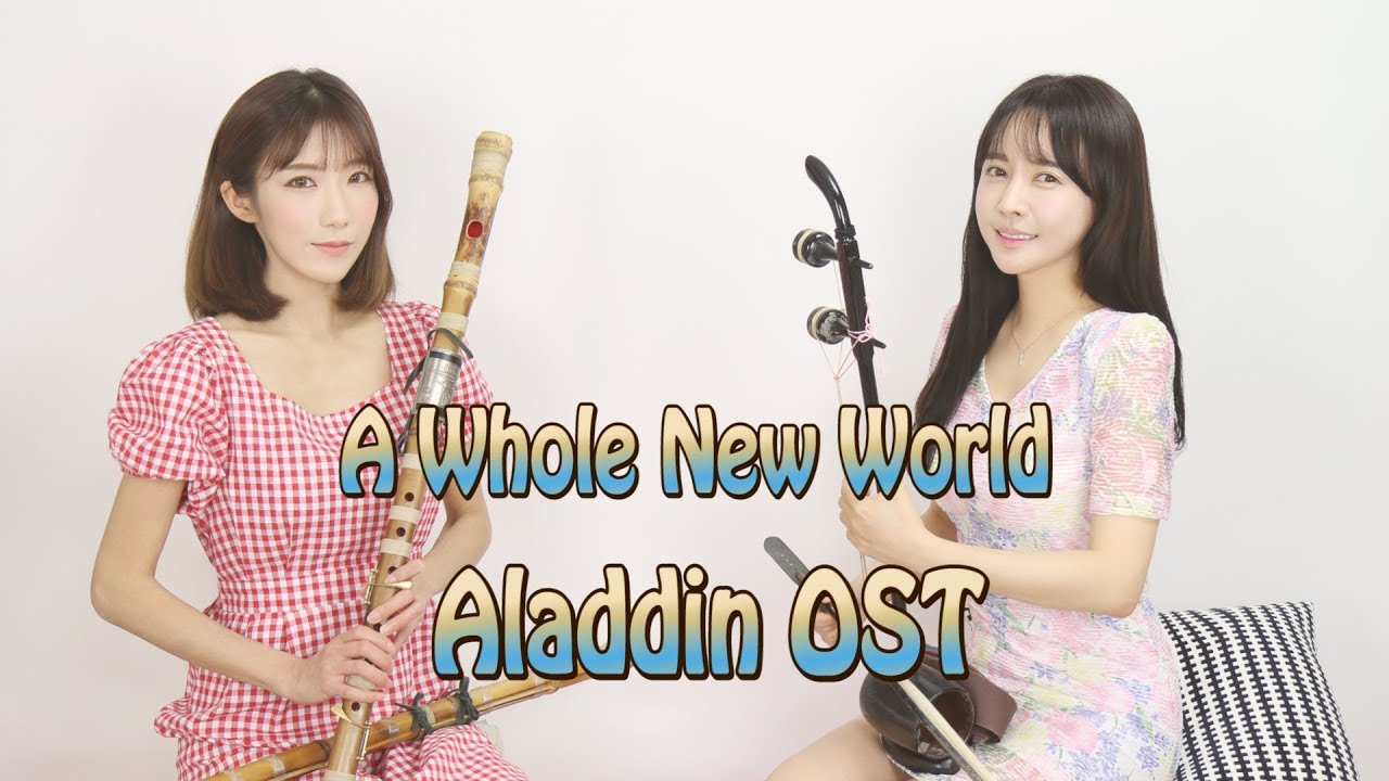 A Whole New World - 알라딘 (Movie Aladdin OST) / HAEGEUM&DAEGEUM COVER 해금,대금연주 ☆퓨전국악퀸