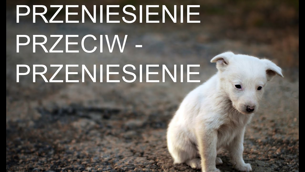 Przeniesienie i przeciwprzeniesienie. Nienormalna psychologia!