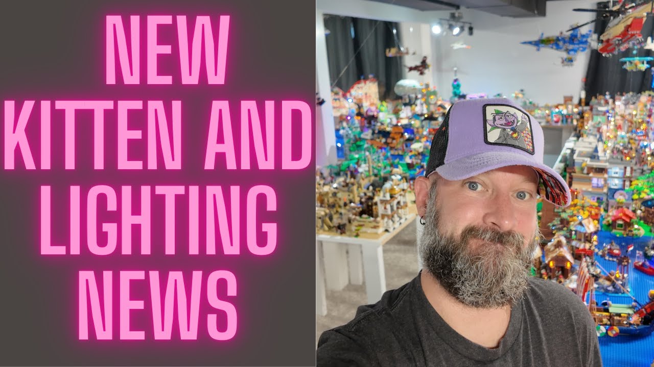 New kitten and lighting news