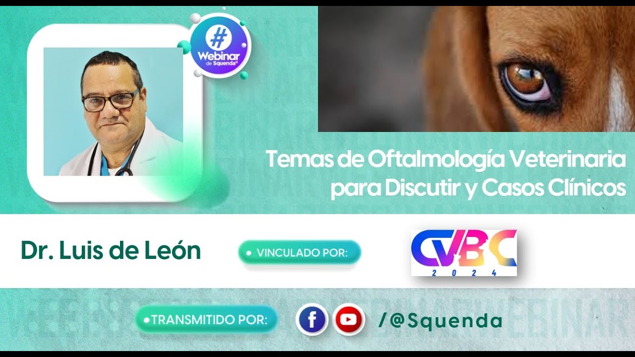 Temas de Oftalmología Veterinaria para Discutir y Casos Clínicos. - Dr. Luis de León