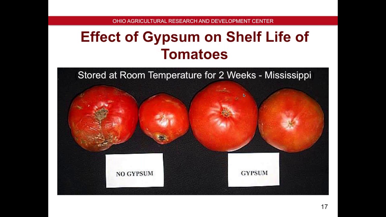 Webinar: Role of Gypsum in Improving Soil and Water Quality