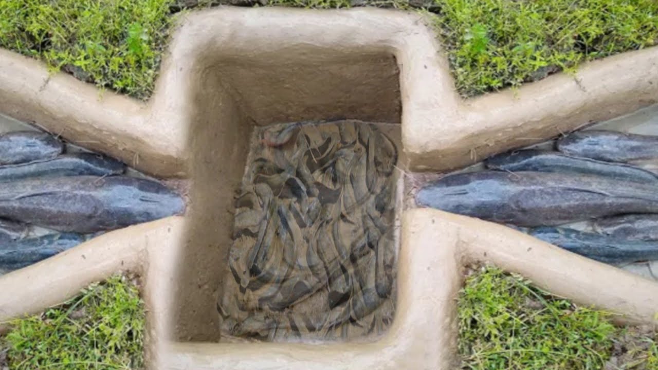 Amazing fish traps for big fish, two different fish trap systems.