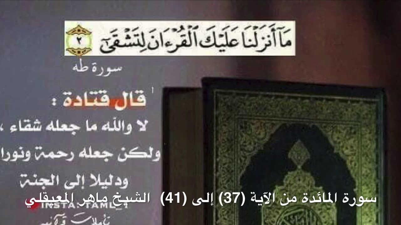 سورة المائدة من الآية (37) إلى (41)  الشيخ ماهر المعيقلي  مكررة سبع مرات ؛ لتثبيت الحفظ