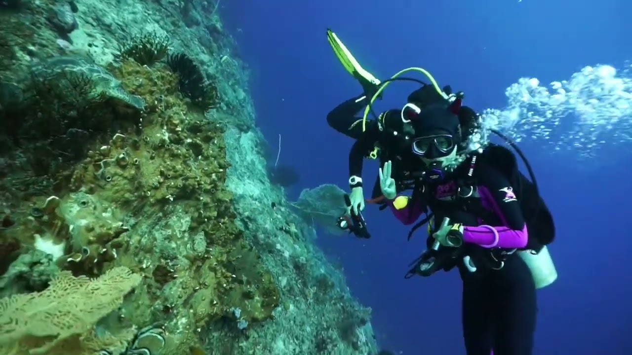 Sepadan diving barracuda point and southern port 16102022