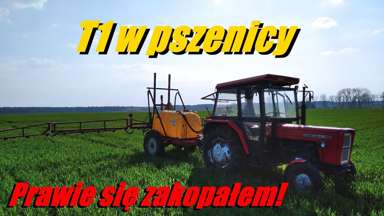 T1 w pszenicy. Ursus c-360 w błocie.