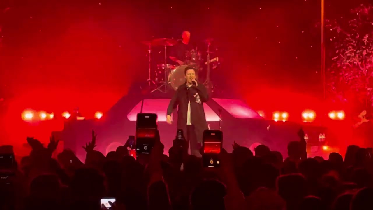 Picture This Redlights