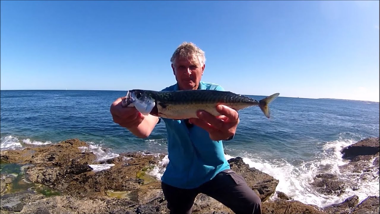 Summer Spinning for Mackerel - Awesome Fun on a Hot Cornish Summers Day