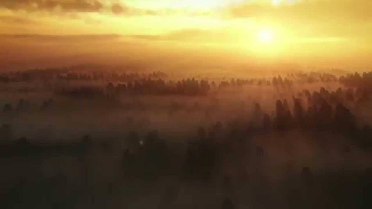 Summer Solstice 2014 - Seattle - Solstice Cannabis Growers