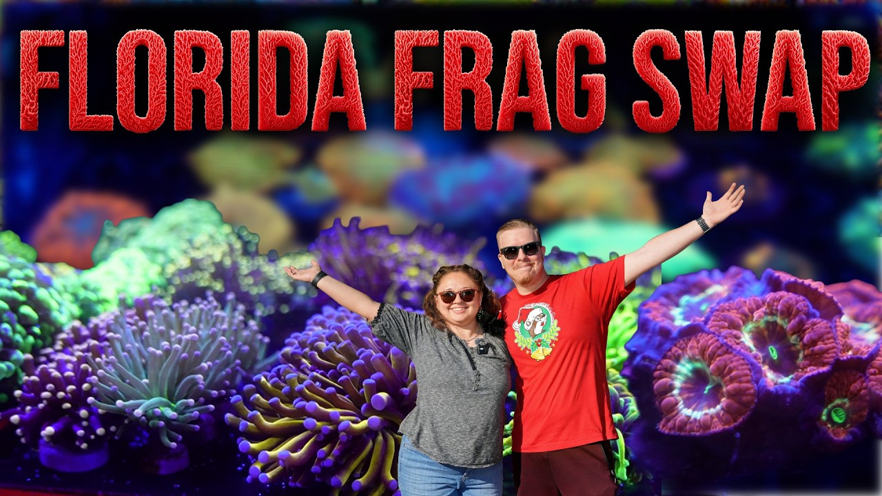 Bringing the Ocean Home?! Exploring a Florida Reef & Coral Expo (Saltwater Aquarium Heaven)