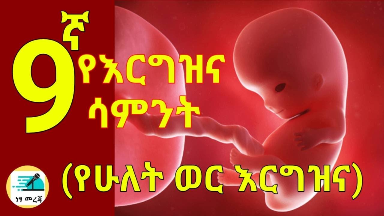 የእርግዝና ዘጠነኛ ሳምንት[የሁለት ወር እርግዝና] // 9 Weeks Pregnant: What to Expect