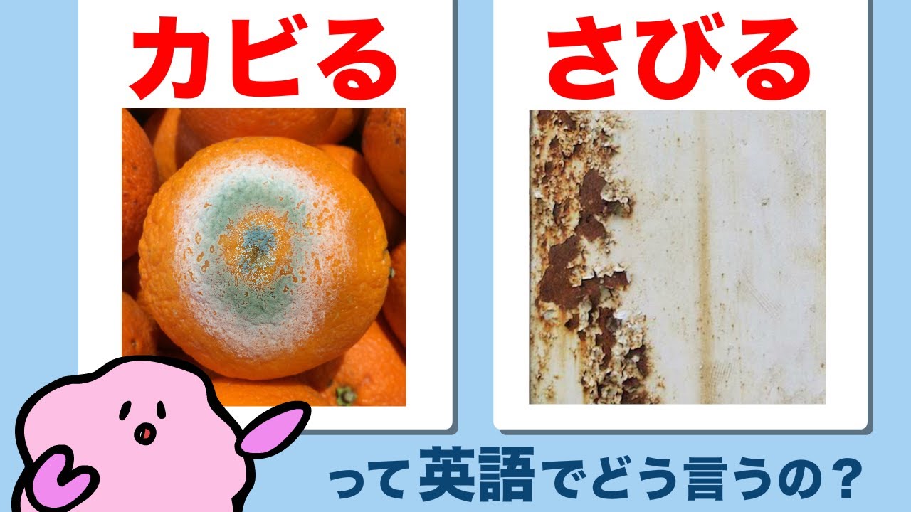 カビる・さびるって英語でどう言うの？yで終わる形容詞 大人のフォニックス[#456]