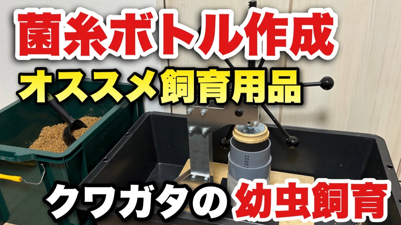菌糸ボトル作成のオススメ飼育用品/幼虫飼育/ブリーダー必見/オオクワガタ