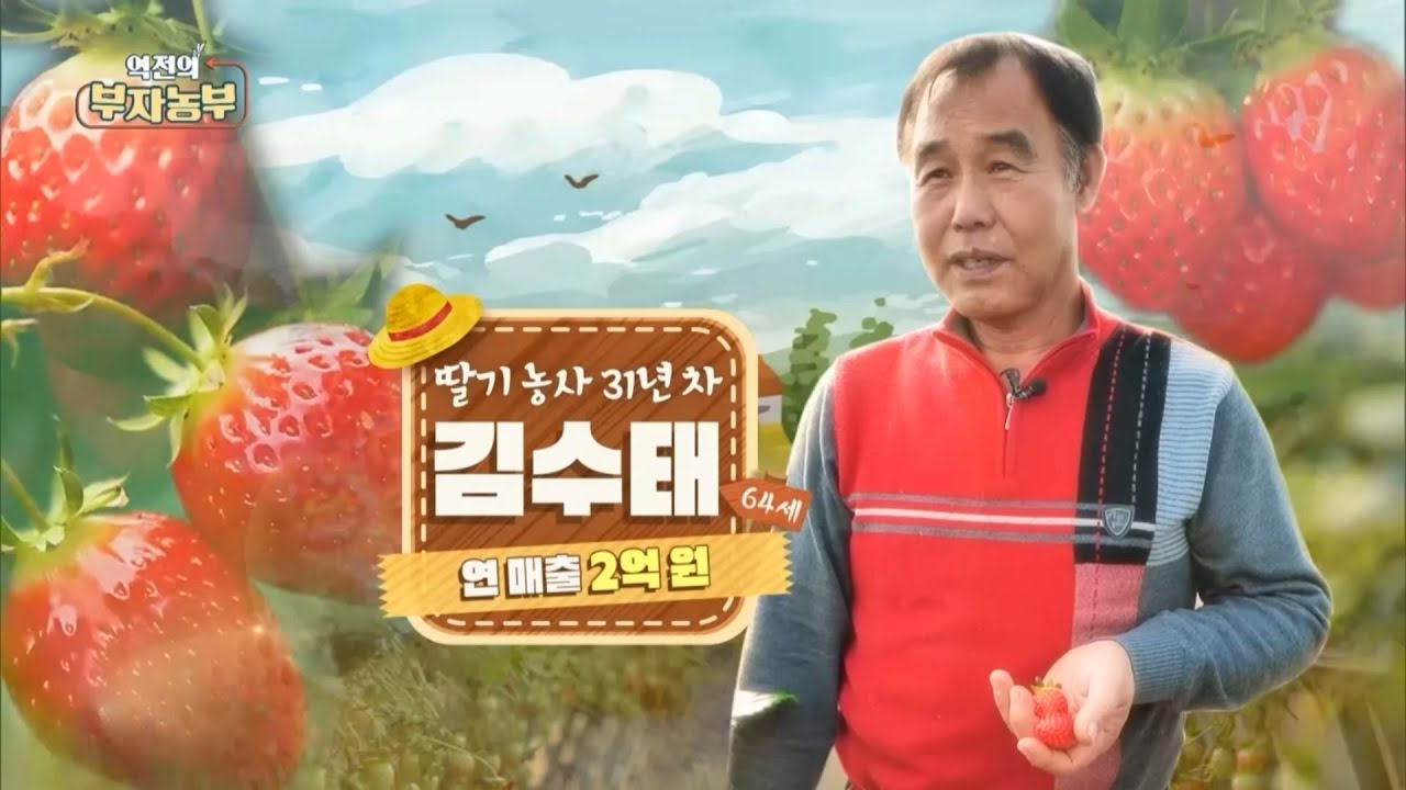 [180회] 31년 딸기 농사를 지으며 연 매출 2억!! '경남 산청군 김수태 부자농부'
