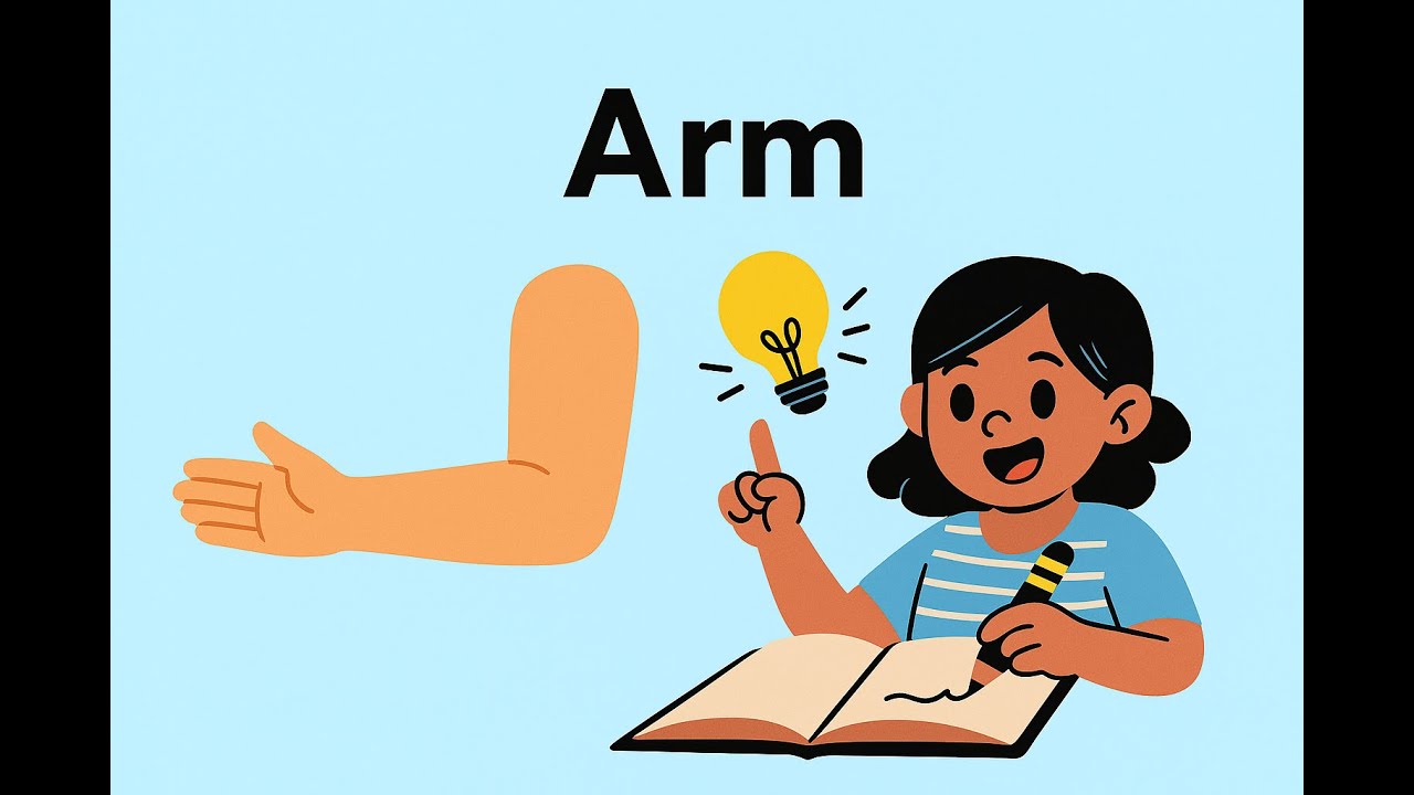 What Is an Arm? | Body Parts for Kids | Fun Learning with Animation!