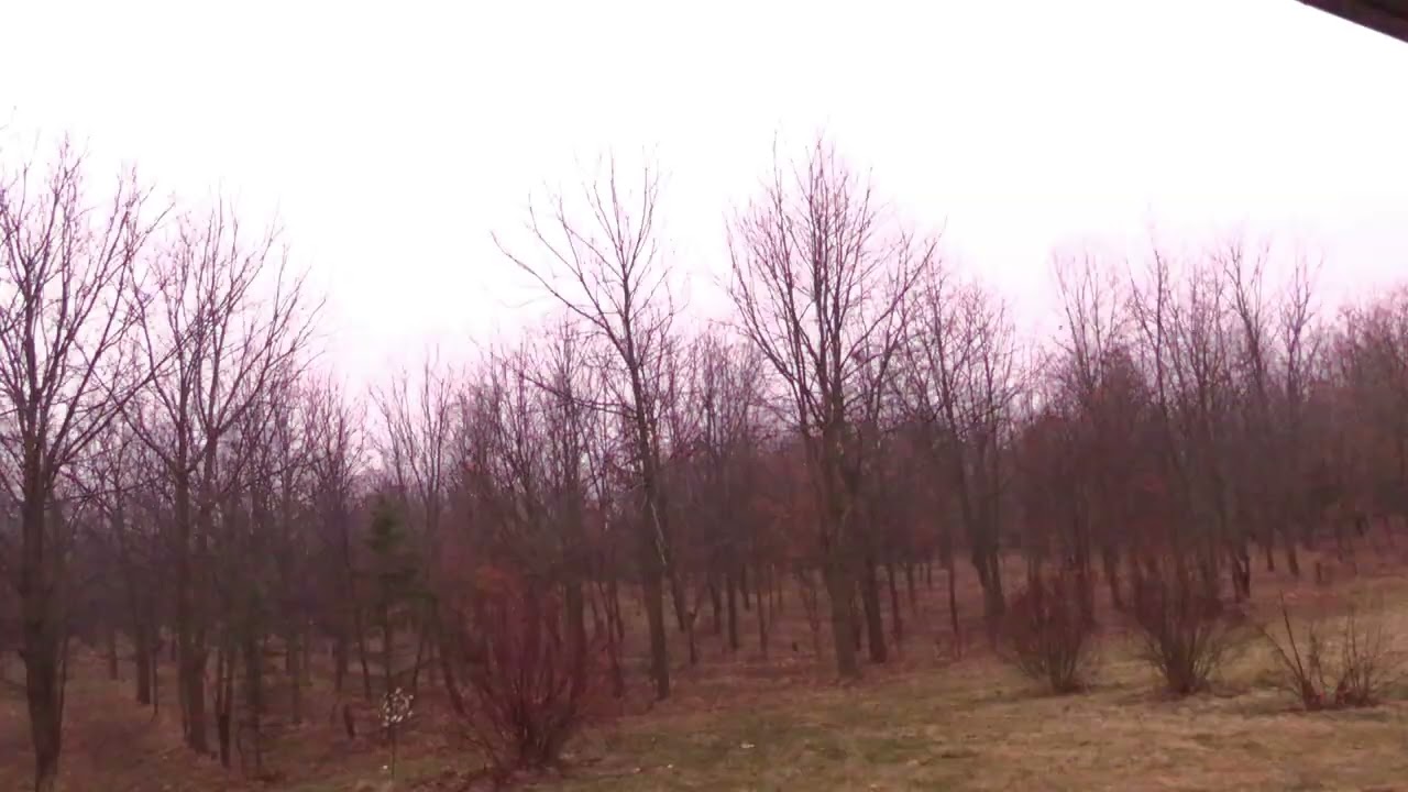 midnight thunderstorm | 3HRS | Relaxing Rain Sounds