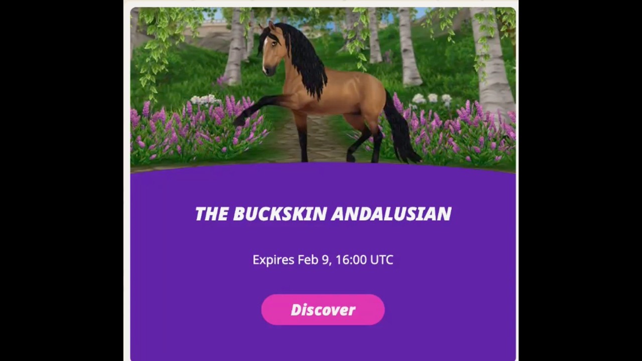 New Buckskin Andalusian horse in #starstableonline purchase, tack selection and levelling up