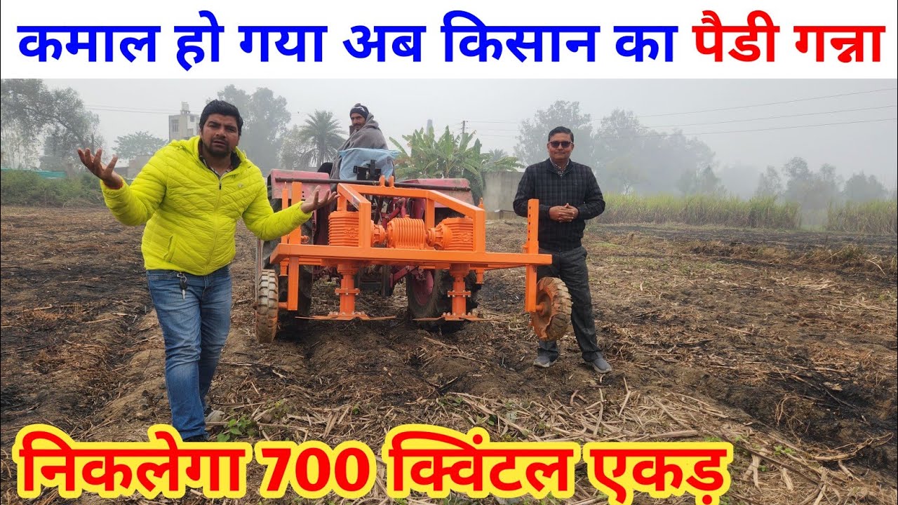 अब पैडी गन्ना निकलेगा 700 क्विंटल एकड़॥ Ratoon manager॥Technical tejasvi kisan
