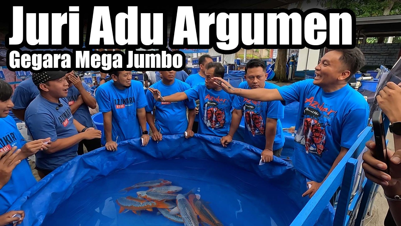 Bagaimana Cara Memilih Asagi Yang Bagus Dengan Pakan Mega Jumbo