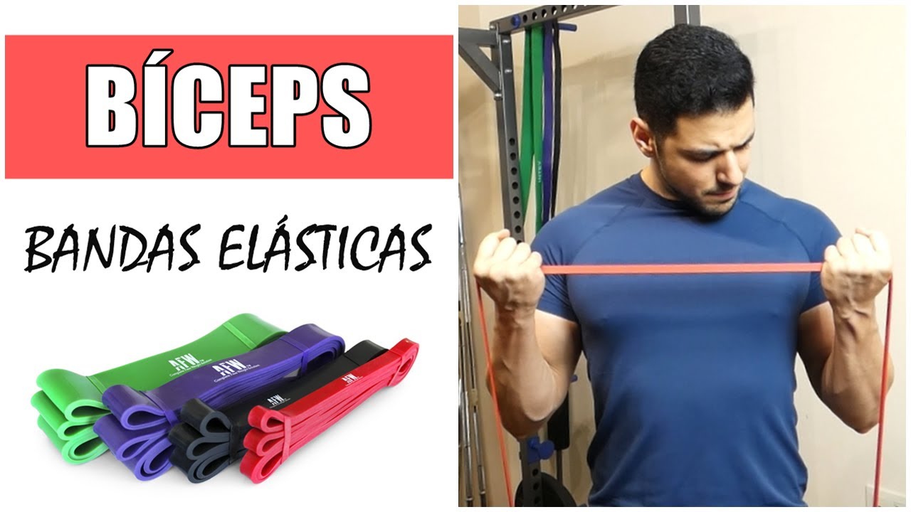 9 EJERCICIOS DE BÍCEPS CON BANDAS ELÁSTICAS
