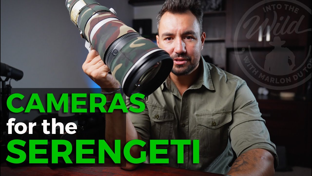 Фотооборудование для вашего сафари в Серенгети