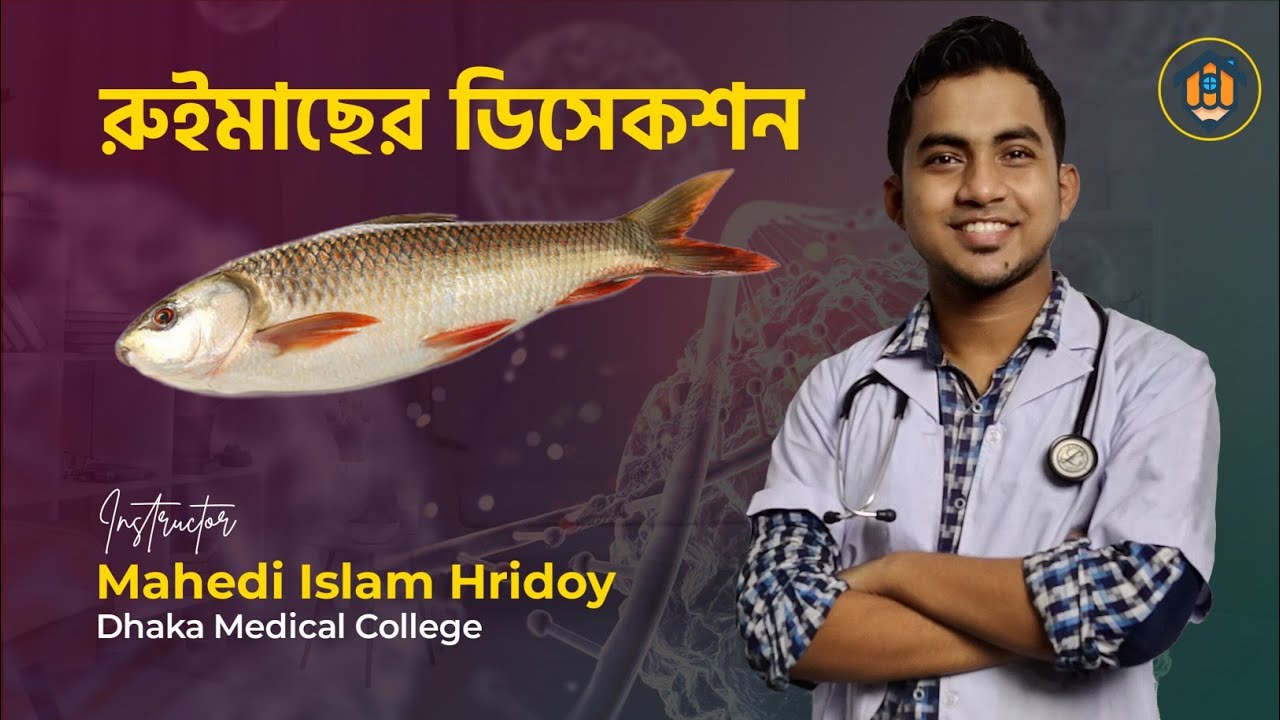 রুই মাছের ডিসেকশন || গঠন সহ ব্যাখা|| হৃদয় ভাইয়া