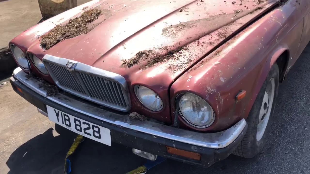 1989 Jaguar XJ12 barn find project - before and after washing