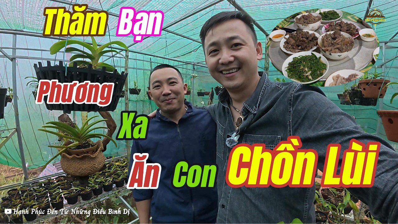Ăn Con Chồn Lùi, Khám Phá Nhà Sàn 