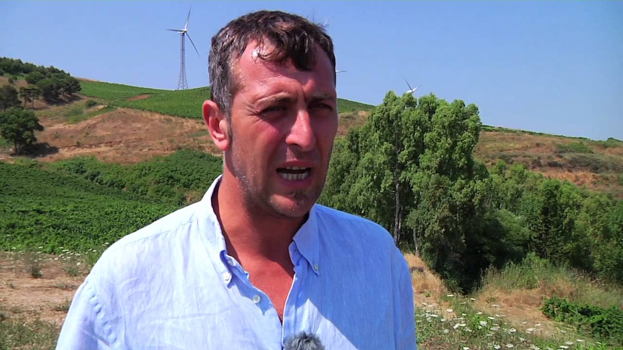 Alla scoperta dei vitigni della tenuta Rapitalà