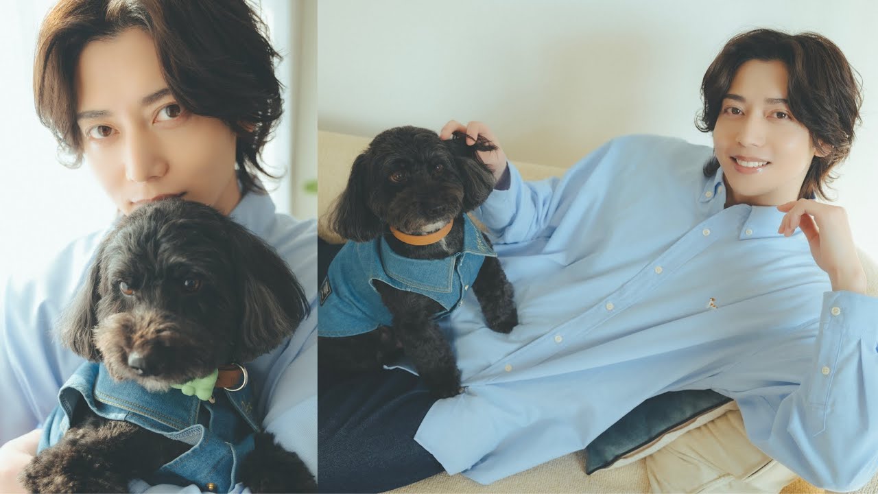 Toshiyuki Someya and his beloved dog Okoge came to visit us! (Chihuahua x Toy Poodle | Monthly Do...