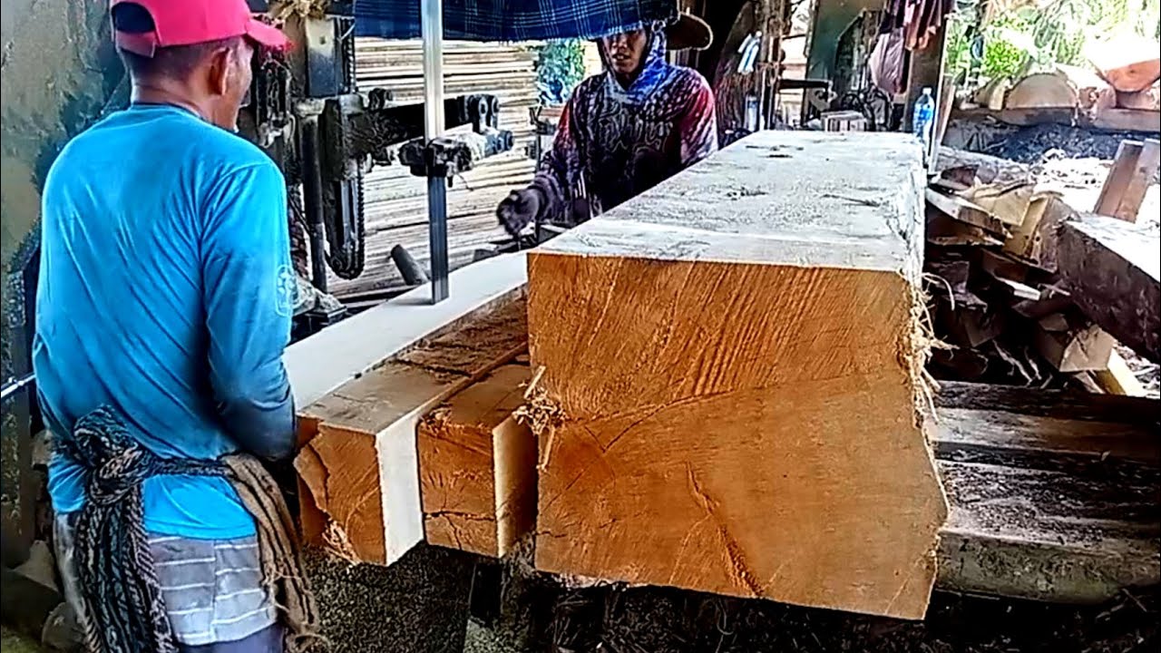 Penggergajian kayu Jelutong besar yang sudah di tasak