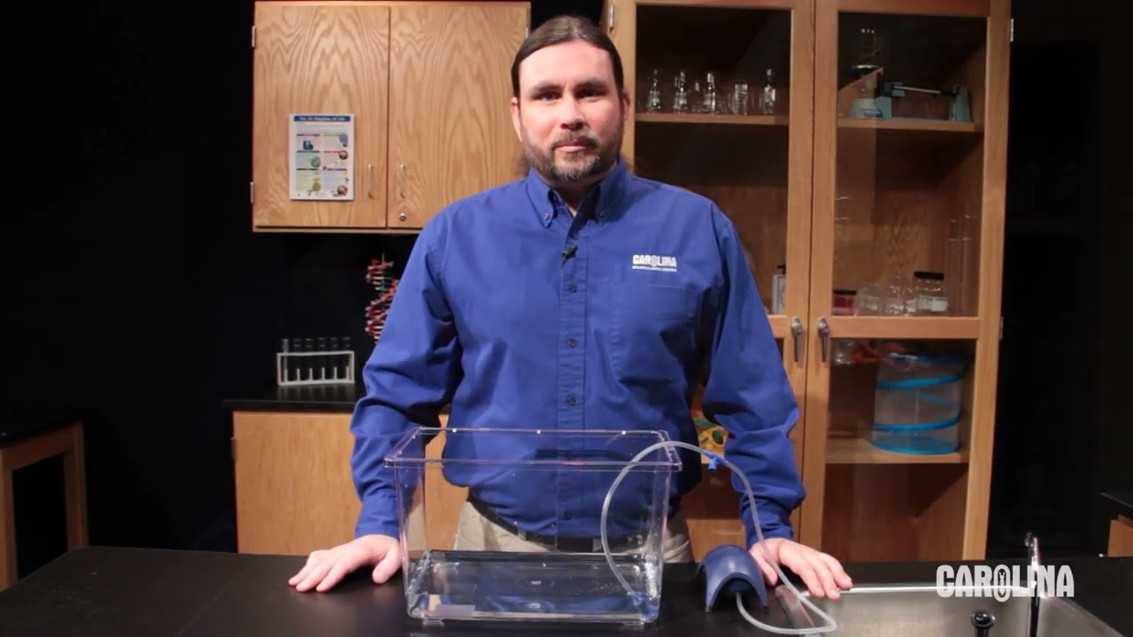 Care and Handling of Tadpoles