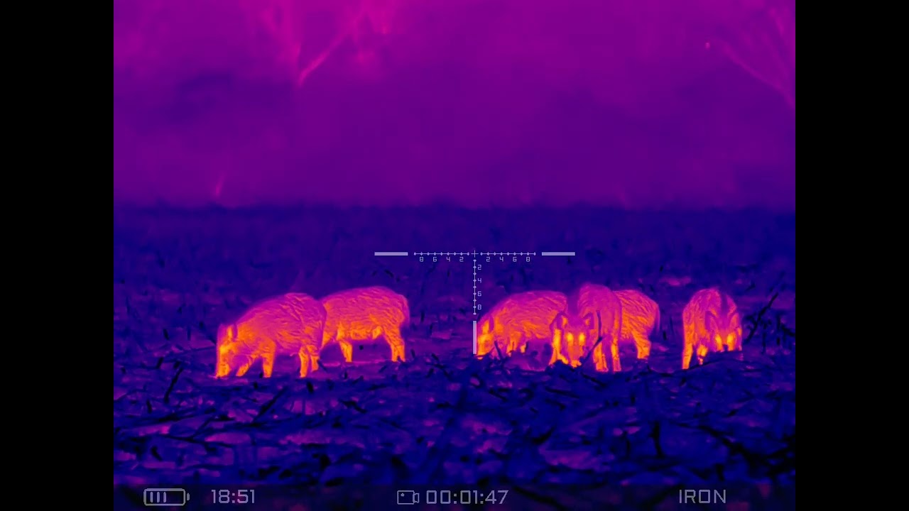 BEST THERMAL ON THE MARKET? Senopex S7 LRF image quality