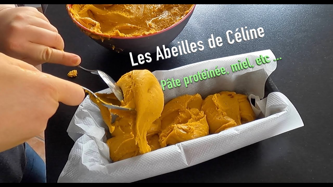 Pâte protéinée, miel, etc